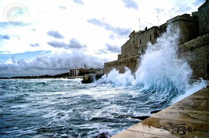 Il Da Vinci Casa Vacanze Giovinazzo Exteriör bild