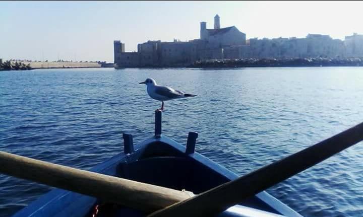 Il Da Vinci Casa Vacanze Giovinazzo Exteriör bild